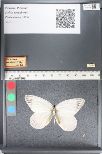 Media type: image;   Entomology 130404